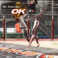 Niki Bunkyaku