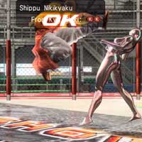 Shippū Nikikyaku