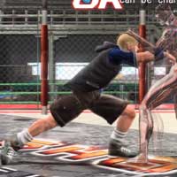 Taizan Sōkōshu / Maximum Charge