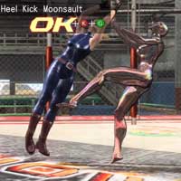 Heel Kick Moonsault