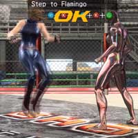 Step to Flamingo
