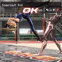 Somersault Kick