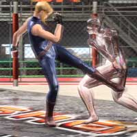 Step~Low Kick