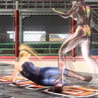 Leap Low Spin Kick