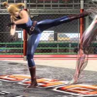 Turn Kick