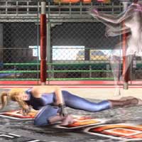 Turn Low Spin Kick