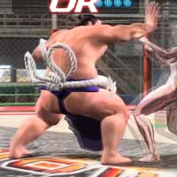 Tsuppari 4