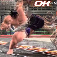 Shishi Odoshi