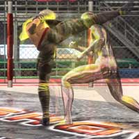 Parrying High Kick