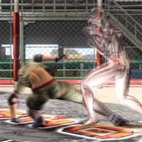 Sit-down Low Kick