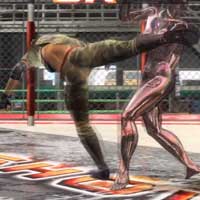 Hind Back Spin Kick