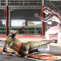 Sliding Low Kick