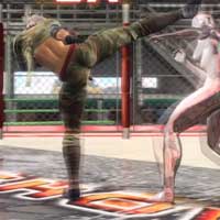 Jab~High Kick