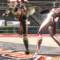 Body Blow Knee