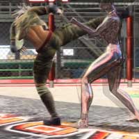 Stealth Spin Kick