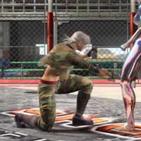 Leg Guard Crush