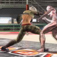 High Kick Combo