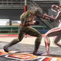 Landing Knee Combo