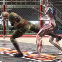 Leg Slicer