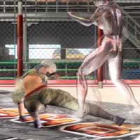 Leap Low Spin Kick
