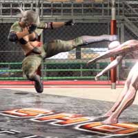 Leap Spear Kick