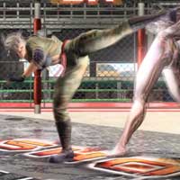 Half Moon Turn Kick