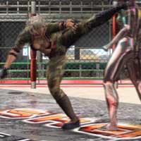 Back Spin Kick
