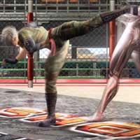 Half Moon Turn Kick
