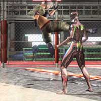 React Round Kick