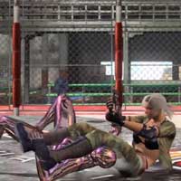 Flying Armbar