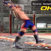 Reverse Sledgehammer