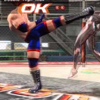 Double High Kick