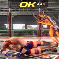 Low Drop Kick