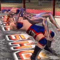 Half Nelson Suplex