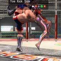 Toe Kick Stunner