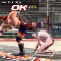 Toe Kick Side