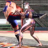 Heavy Middle Kick