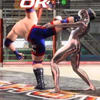 Kenka Kick