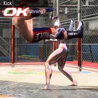 Missile Kick