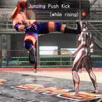 Jumping Push Kick