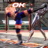 Back Kick
