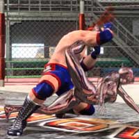 Ankle Lock
