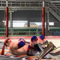 Arm Bar
