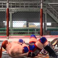 Arm Bar