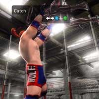 Diamond Cutter