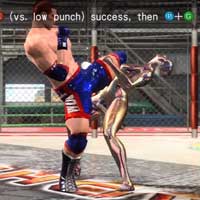 Low Punch Cut